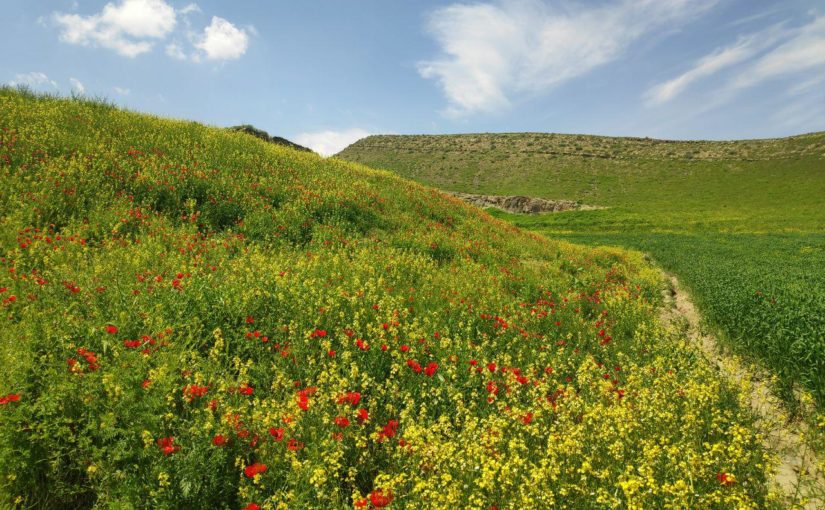 جاهای دیدنی مشهد