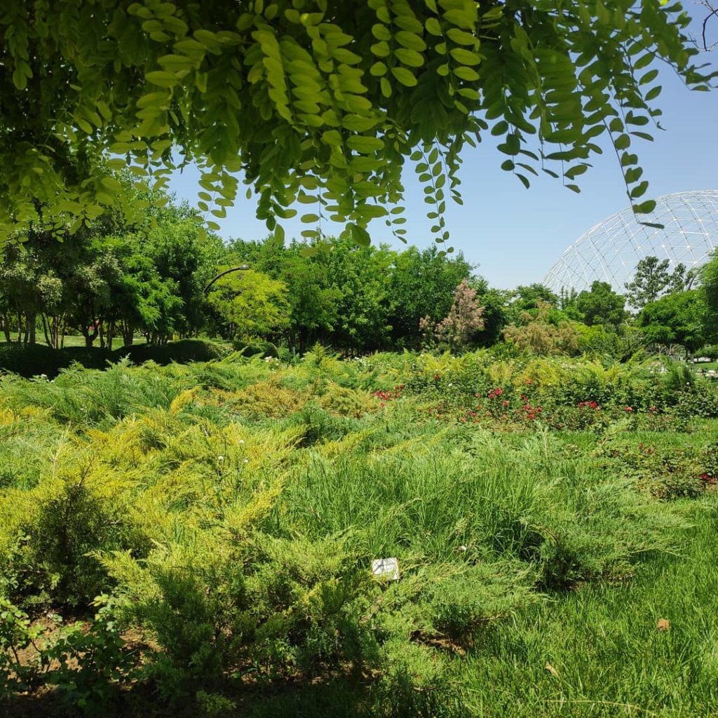 باغ گیاه‌شناسی مشهد
