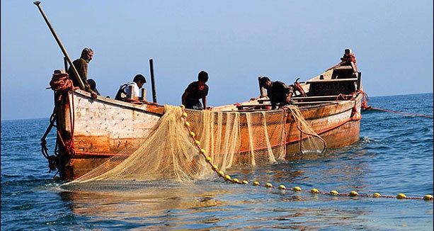 صید ماهی در خلیج فارس