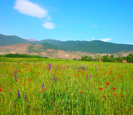 جاذبه‌های گردشگری کلاردشت