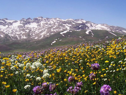 استان کردستان زیبای غرب ایران