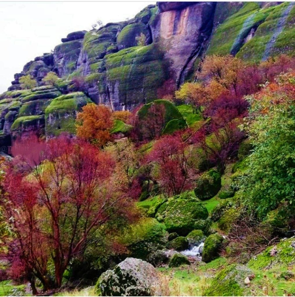 طبیعت بی‌نظیر مخمل کوه در استان لرستان در حوالی شهر خرم‌آباد
