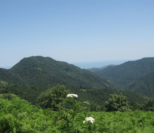 آبشار لاتون در حوالی شهر آستارا در استان گیلان