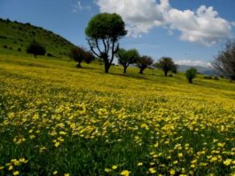 دریاچه ویستان بره سر رودبار