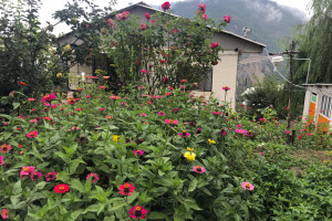 ویلا 1 خوابه کوهستانی دارای پارکینگ