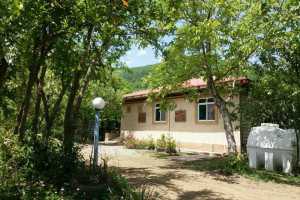 ویلا 2 خوابه جنگلی دارای پارکینگ