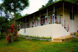 ویلا 2 خوابه روستایی دارای پارکینگ