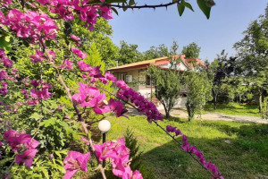 ویلا 2 خوابه روستایی دارای پارکینگ