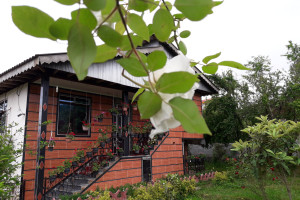 ویلا 2 خوابه جنگلی دارای پارکینگ