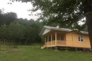 ویلا 1 خوابه جنگلی دارای پارکینگ