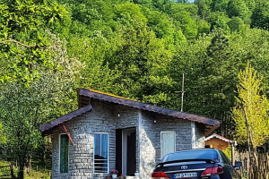 ویلا 1 خوابه جنگلی