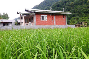 ویلا 2 خوابه جنگلی دارای پارکینگ