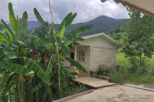 ویلا 1 خوابه جنگلی دارای پارکینگ