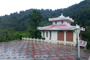 ویلا 2 خوابه جنگلی دارای استخر و پارکینگ