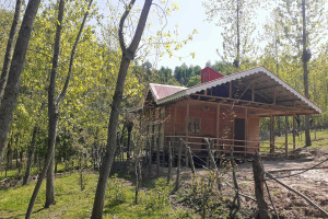 سوئیت 1 خوابه جنگلی دارای پارکینگ