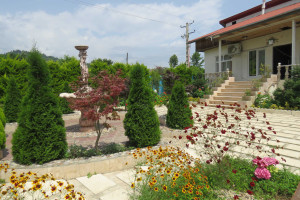 ویلا 3 خوابه روستایی دارای استخر و پارکینگ