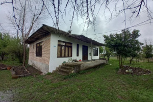 ویلا 2 خوابه جنگلی دارای پارکینگ