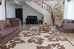 ویلا 2 خوابه روستایی دارای پارکینگ