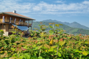 سنتی 2 خوابه روستایی دارای پارکینگ