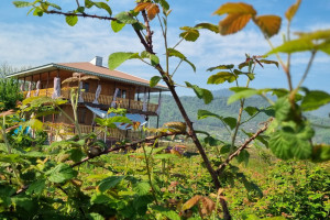 سنتی 2 خوابه روستایی دارای پارکینگ