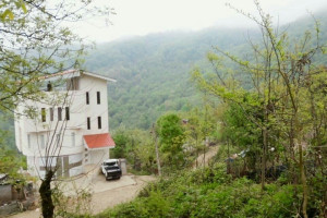 آپارتمان 1 خوابهجنگلی دارای پارکینگ