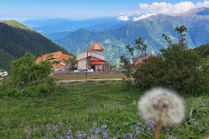 ویلا 2 خوابهروستایی دارای پارکینگ