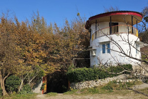 ویلا 1 خوابه جنگلی دارای پارکینگ